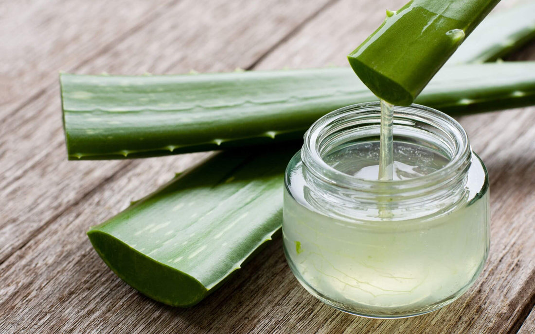 Aloe Vera in Cremes